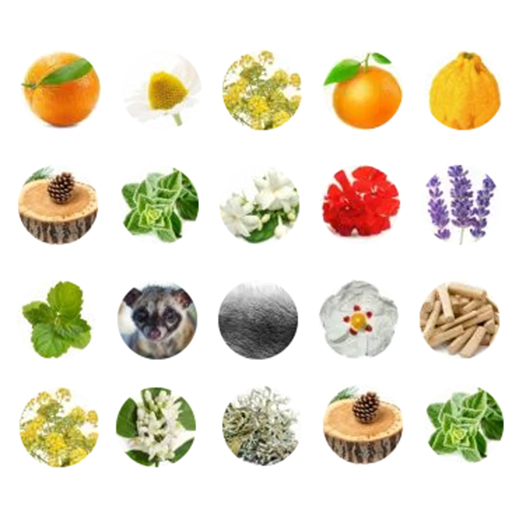 با انواع رایحه عطر و تفاوتهایشان آشنا شوید!