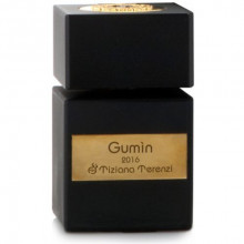 تیزیانا ترنزی گامین